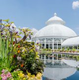 Edible plants in the Courtyard of the Enid A. Haupt Conservatory