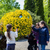 several children interacting with the small yellow flowers on a topiary worm