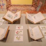 four books are opened to illustrations of flowers in a display case