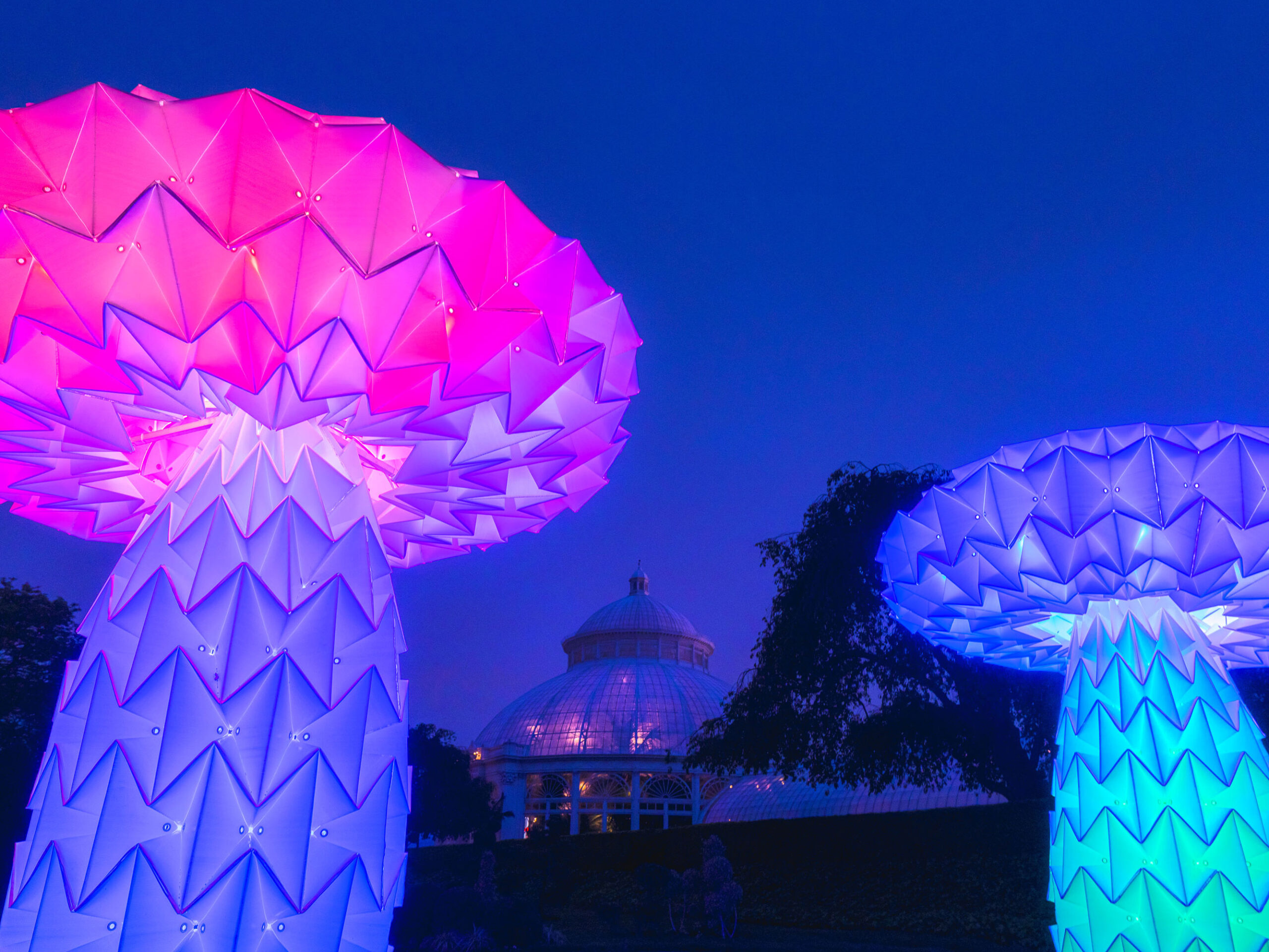 A pair of brightly illuminated mushroom sculptures in purple, pink, and blue, with a conservatory dome visible under the night sky behind them