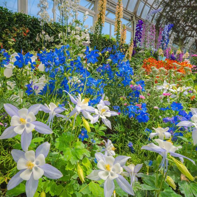 We’re OPEN for the holiday today to soak up as much summer as we can before the season flips. 😎

Come experience Wonderland: Curious Nature in its lush summer looks, indoors and out, with weird and wild plantings in the Haupt Conservatory, imaginative topiaries just outside, and plenty of Alice history and science to discover in the Mertz Library. Afterward, make some time to explore the Thain Forest, where shady, sun-dappled paths are the best place to keep cool as you take in nature.

See you on grounds!

#WonderlandNYBG #CuriousNature