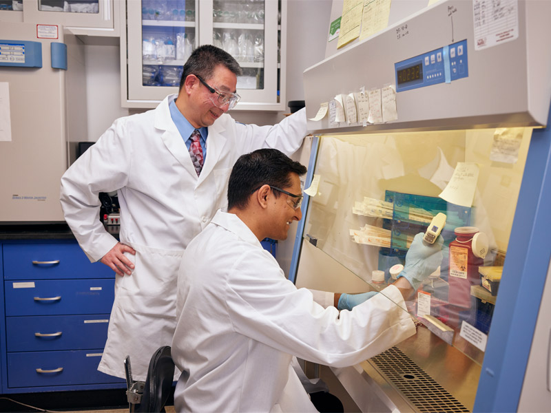 Two researchers in white lab coats working in a lab under a fume hood. 