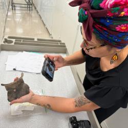 Natasha Smoke-Santiago records the surviving rim and shoulder of a Mohawk pot from a 16th-century site