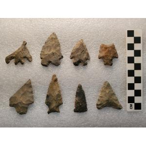 Here are some examples of Native American projectile points in the recently donated McVaugh collection. 