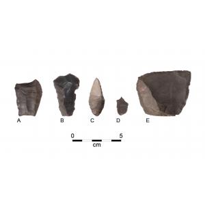 Examples of Paleoindian artifacts from the OPS site. A: fluted point with impact fracture; B: Endscraper, hafted tool likely used for hide working for skin clothing manufacture; C: Hafted perforator for working bone or wood; D: Graver, delicate hand-held 