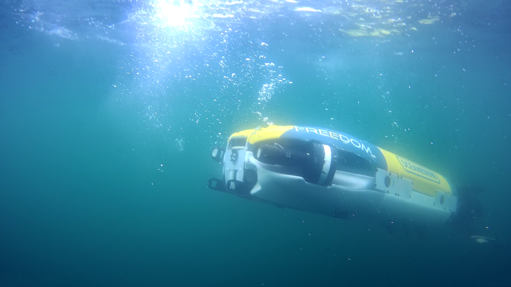 Freedom AUV deployed