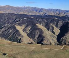 The vegetation fire has burnt through just over 806ha of farmland, tussock and scrub. PHOTO:...