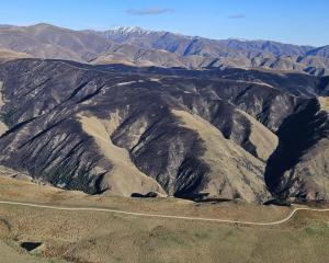 The vegetation fire has burnt through just over 806ha of farmland, tussock and scrub. PHOTO:...