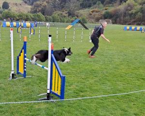 A range of obstacles tested dogs and their masters at Forrester Park over the weekend, for the...