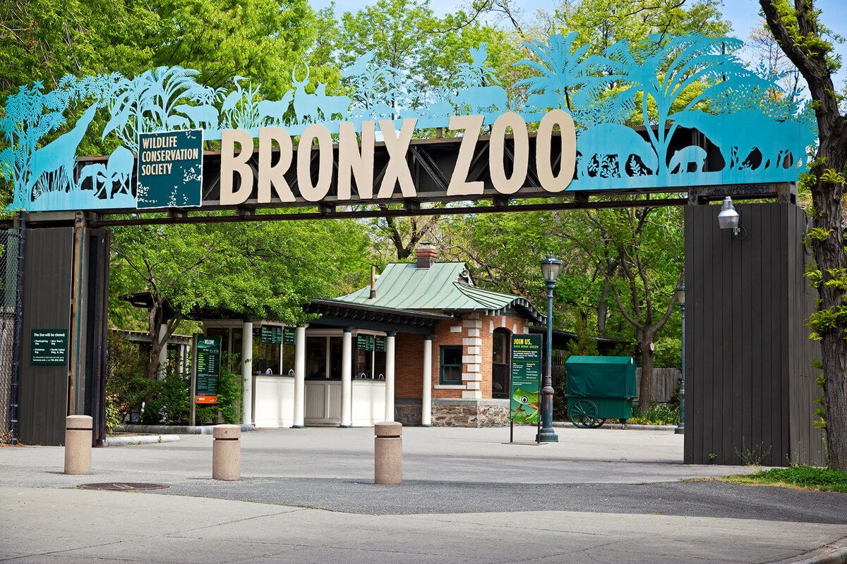 large_bronx-zoo1