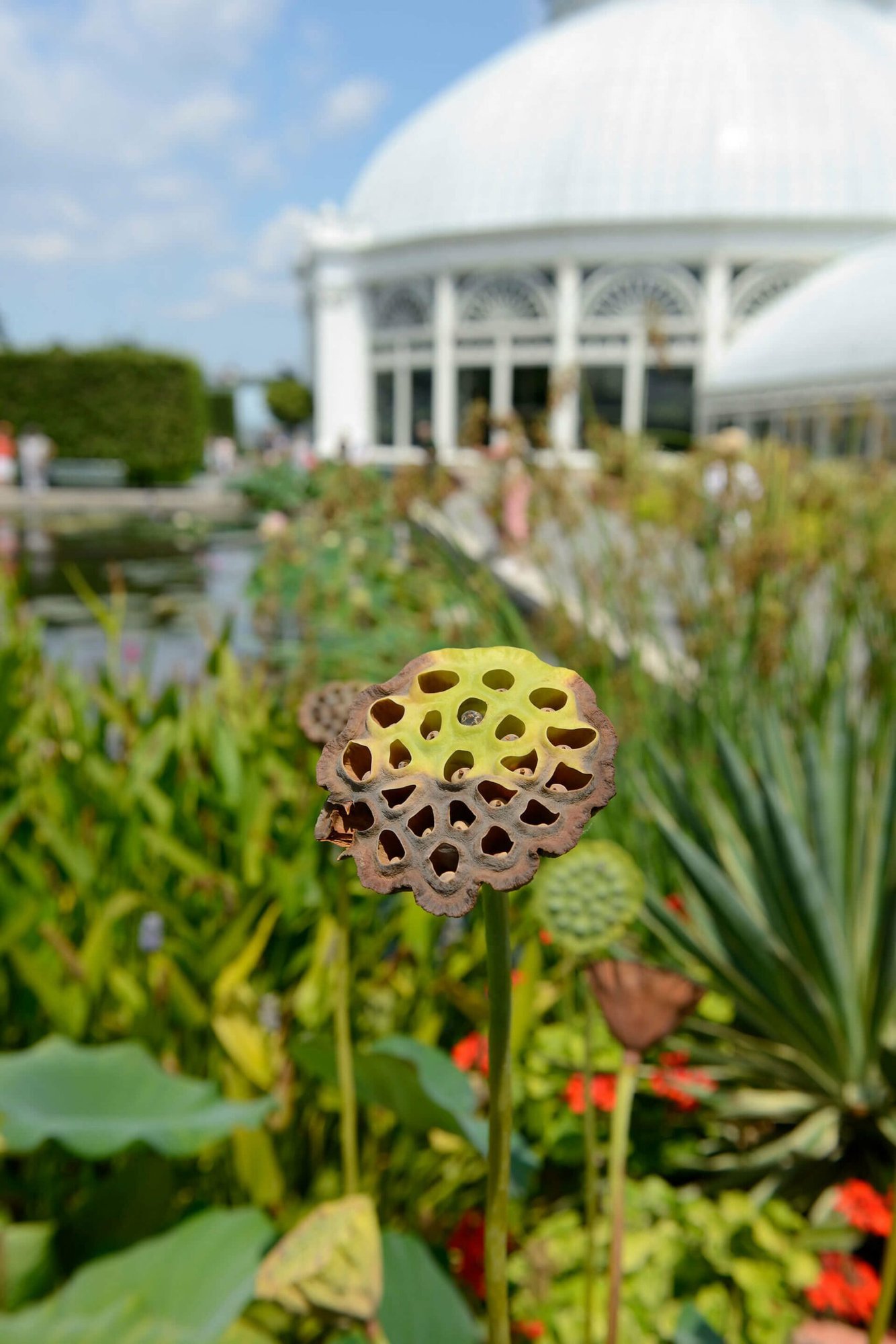 ny-botanical-garden-scaled