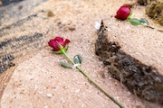 Slabs of wood are adorned with red roses, signifying goals scored during the “Green is Gold” charity match between the Portland Timbers and Thorns at Providence Park on Wednesday, June 26, 2024.