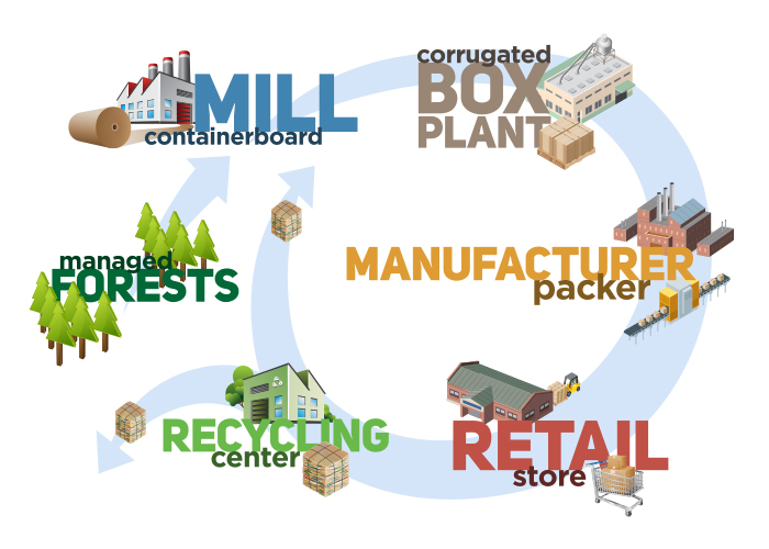 Corrugated Life Cycle Schematic