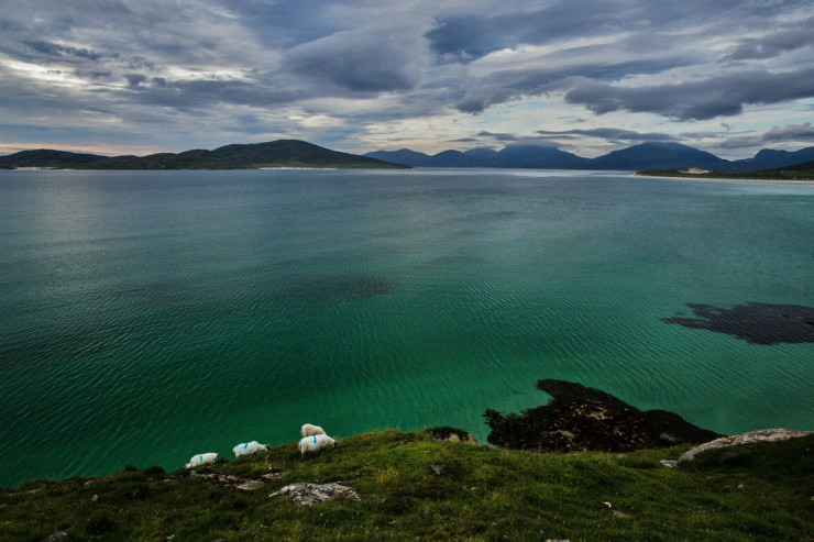 Luskentyre-Photo by ian mcintosh2