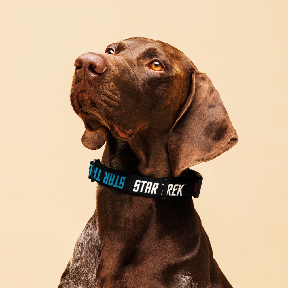 Star Trek: The Original Series Logo Pet Collar - Paramount Shop