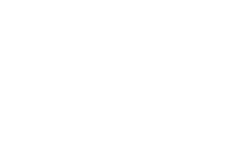 Sabre logo in white