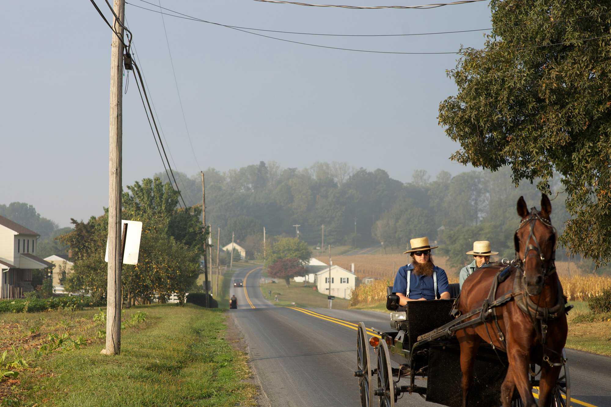 Amish-FAQ-feature-image.jpg