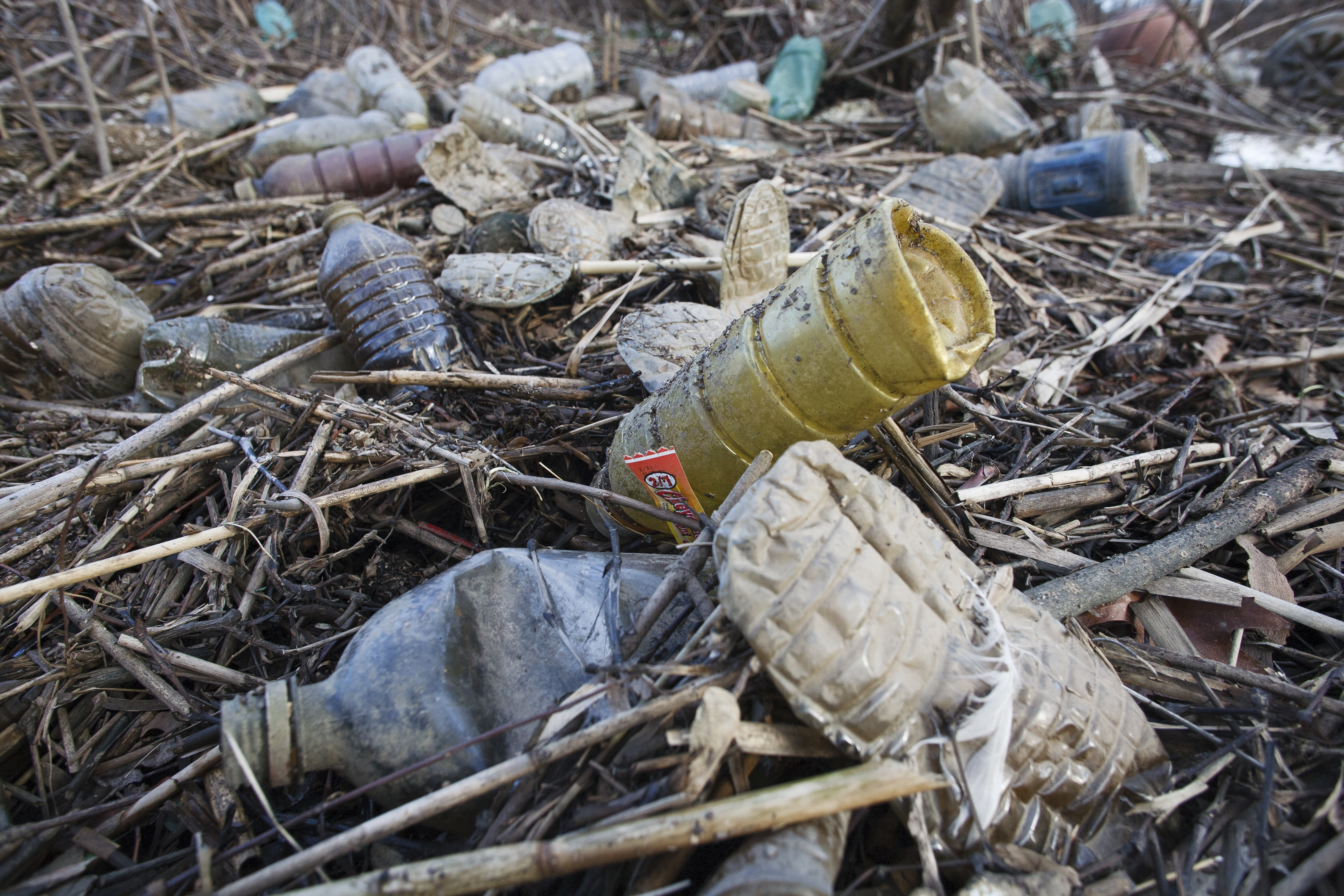 Plastic Pollution Philadelphia