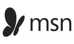 msn logo.