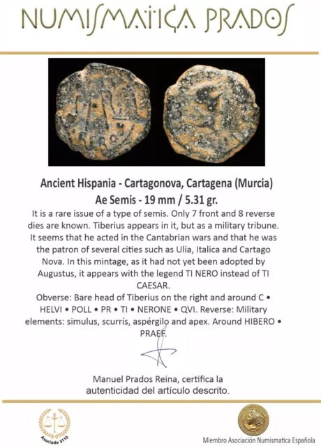 ANCIENT HISPANIA - Cartagonova, Cartagena (Murcia) Ae Semis - 19 mm / 5 ...