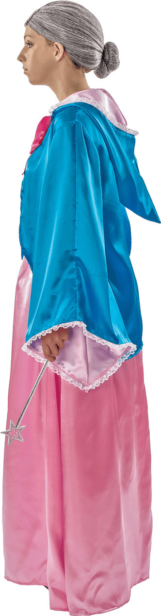 Download Adult Magical Fairy Godmother Fancy Dress Costume - Velvet ...