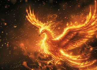 Fire 4K desktop wallpaper with majestic phoenix rising from the flames, with wings spread wide and glowing feathers.