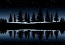 A star filled night sky reflecting on a calm lake, creating a mirror like effect with a dark forest silhouette.