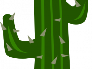 cactus, desert plant, spiny succulent, green flora, Cactus PNG