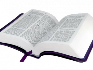 dictionary, reference book, language guide, lexicon, Bible PNG