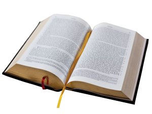 book, literature, open pages, reading material, Bible PNG