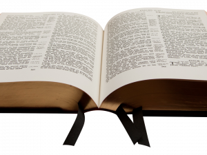 open book, dictionary pages, language reference, text study, Bible PNG