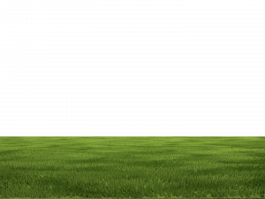 green grass, lush lawn, natural landscape, outdoor scenery, Grassland PNG