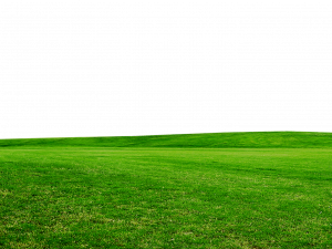 green grass field, lush landscape, outdoor scenery, vibrant turf, Grassland PNG