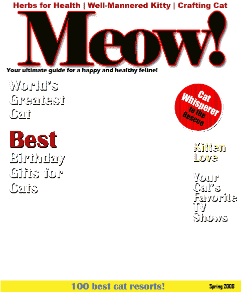 Download Cat Magazine Cover Template Png Image With No Background Pngkey Com