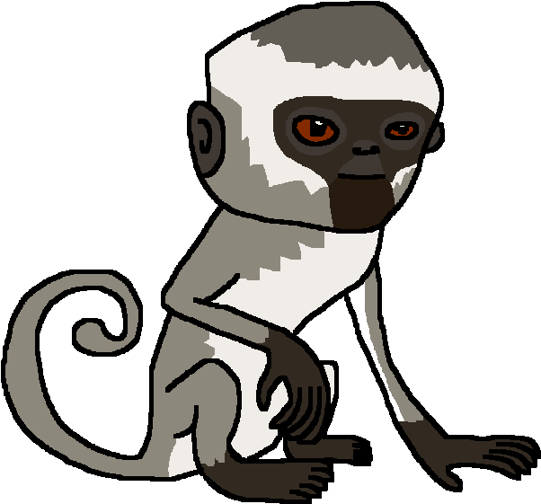 Download Vervet Monkey - Wiki PNG Image with No Background - PNGkey.com