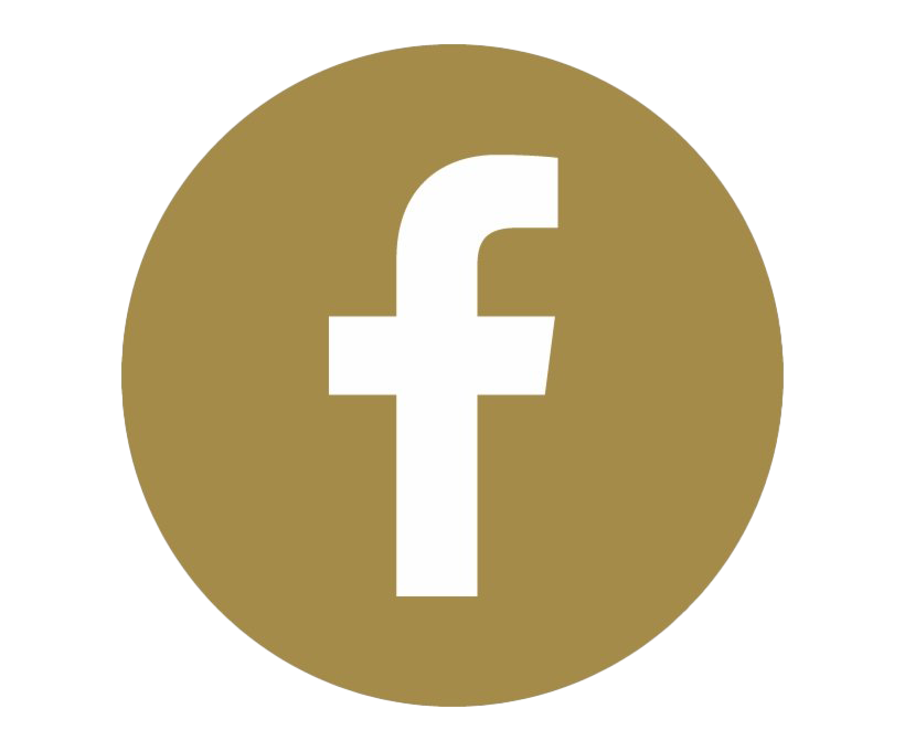 Facebook Logo, High Resolution, Digital Emblem Free PNG