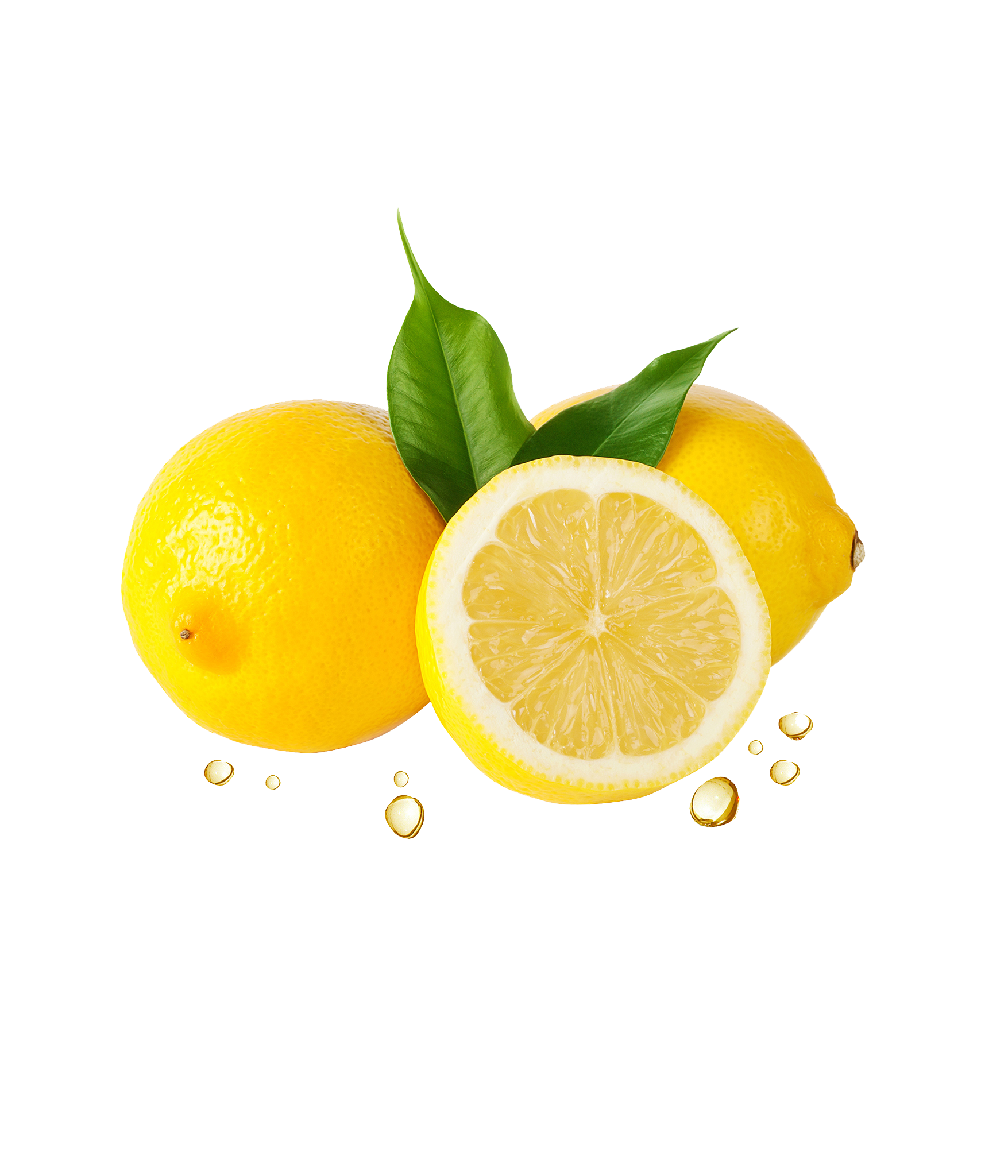 Lemon Fruit, Citrus Slice, Yellow Zest PNG Image