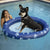 Inflatable Dog Pool Float Large Size