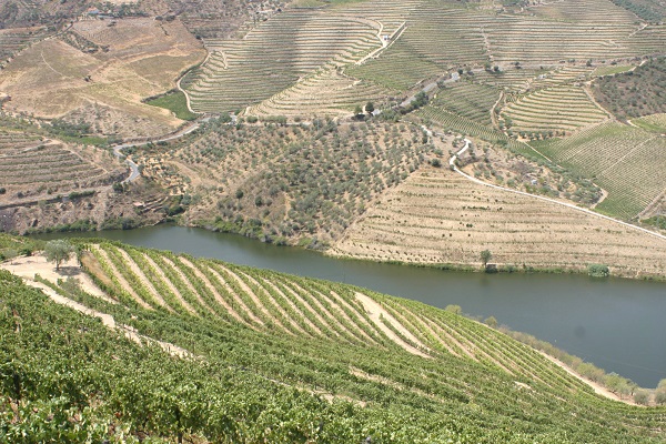 Dia do Vinho do Porto