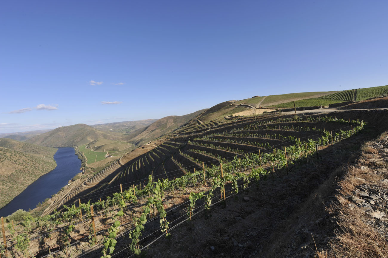 Dia Mundial do Vinho do Porto