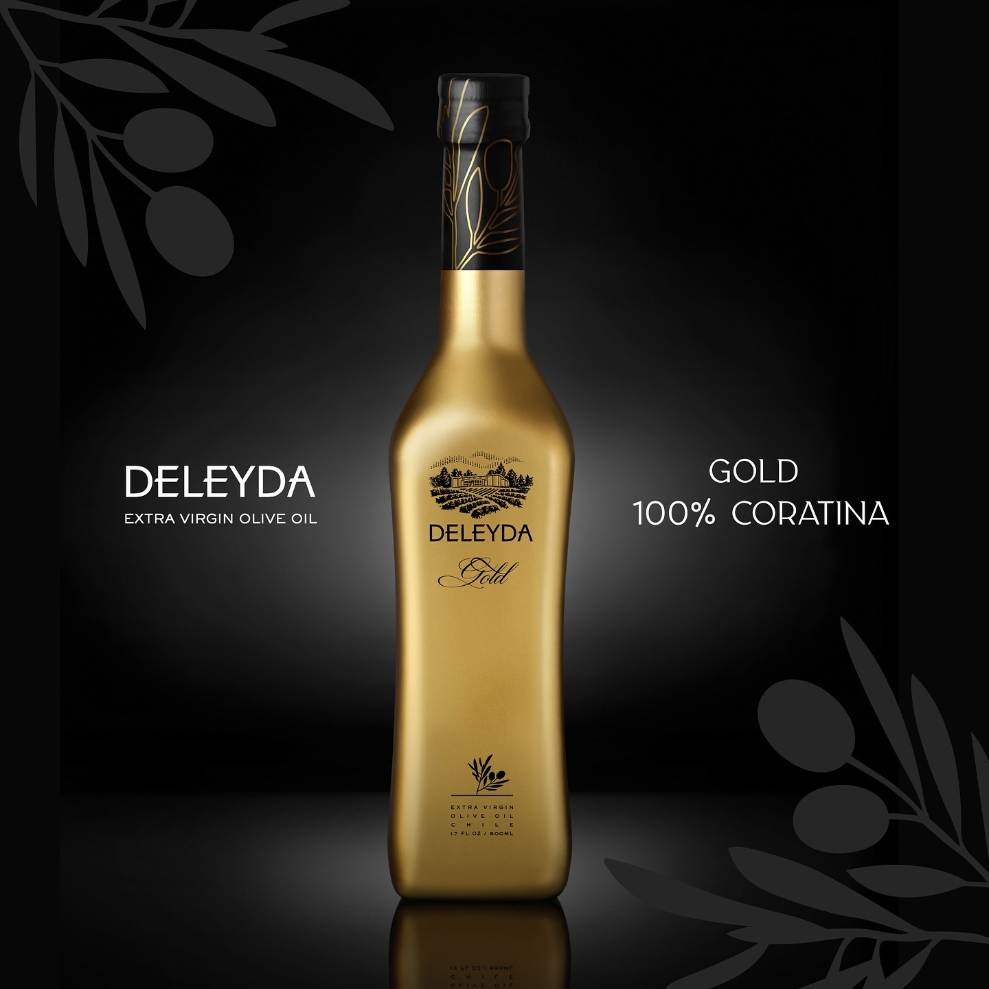 Novidade Porto a Porto: Azeite de Oliva Extravirgem Deleyda Gold