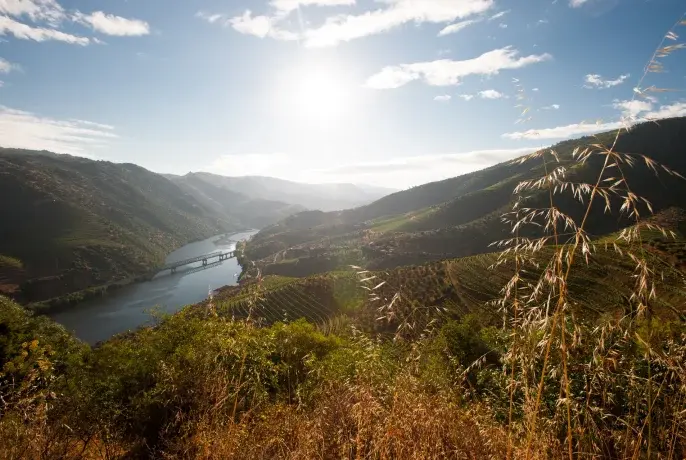 Homem segurando uma caixa com cachos de uva e uma paisagem montanhosa atrás.