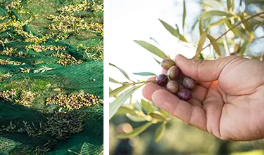 Um prato com uma sobremesa doce ao lado de talheres, uma garrafa de vinho e uma taça sobre uma mesa de madeira.