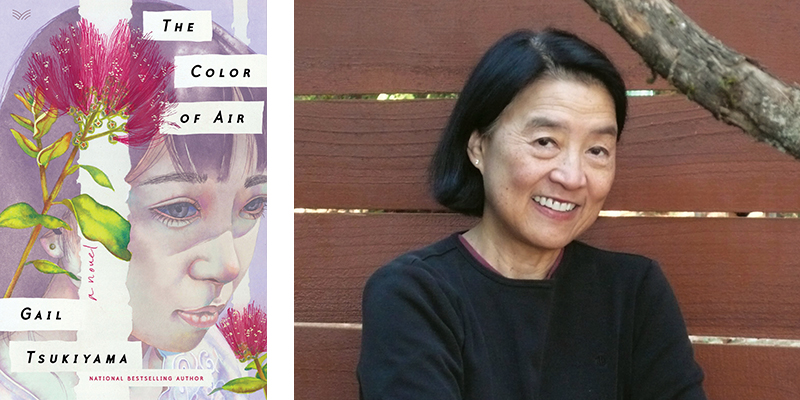 'The Color of Air,' by Gail Tskukiyama