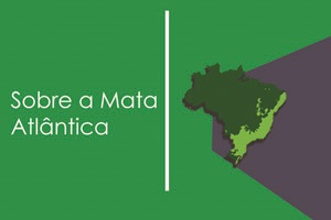 Mata Atlântica