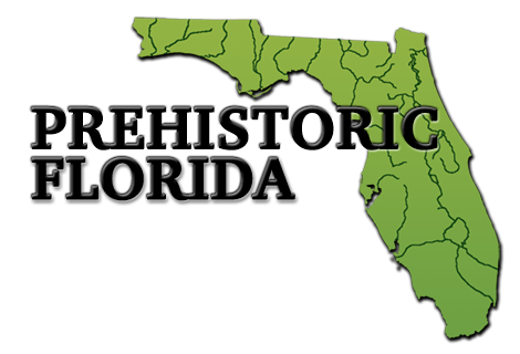 https://www.prehistoricflorida.com Logo