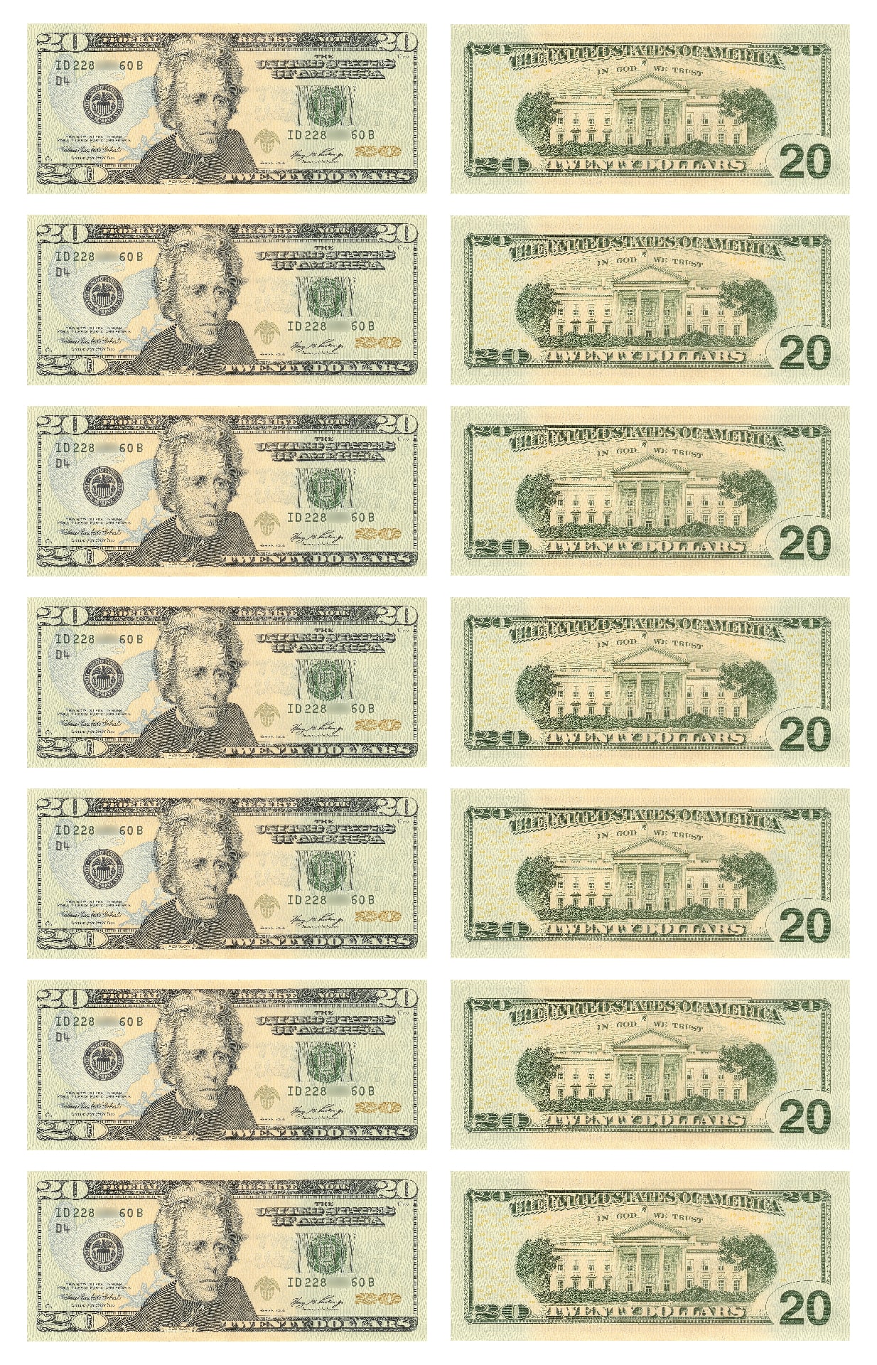 Printable 20 Dollar Bill - Printable Word Searches