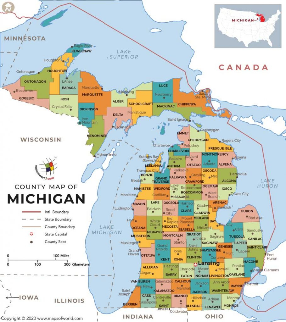 Buy Michigan County Map