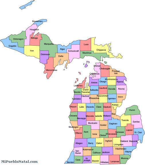 Michigan County Map