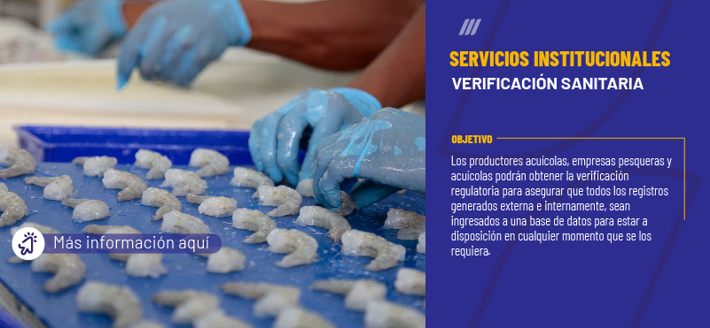 Servicios Institucionales acceso a la información pública del Ministerio de Producción, Comercio Exterior, Inversiones y Pesca